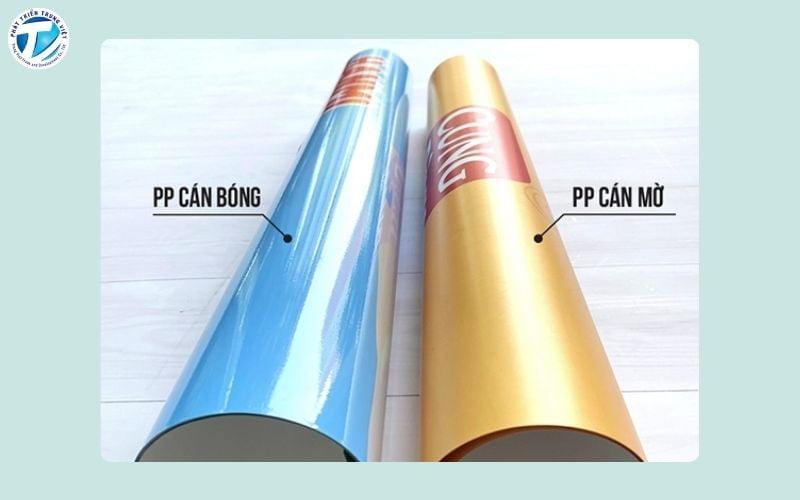 Giấy PP cán mờ/cán bóng